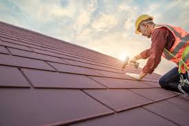 Best Solar Panel Roofing Installation  in Le Center, MN